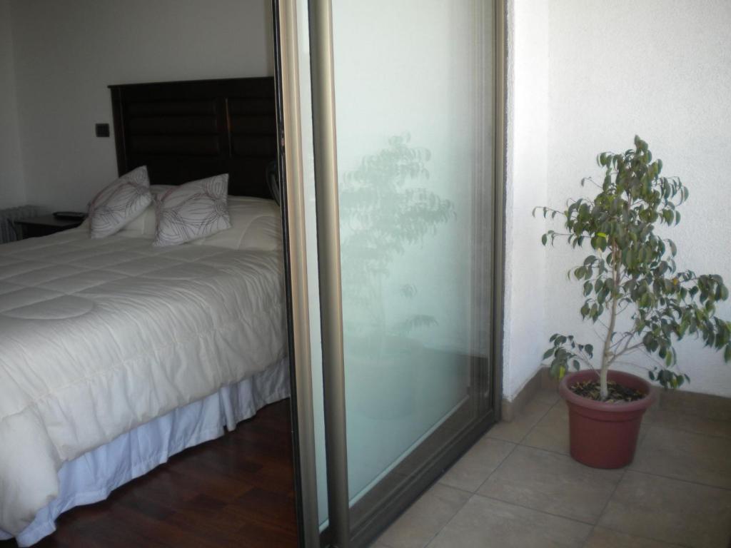 Barcelo Suites Providencia I Santiago de Chile Værelse billede